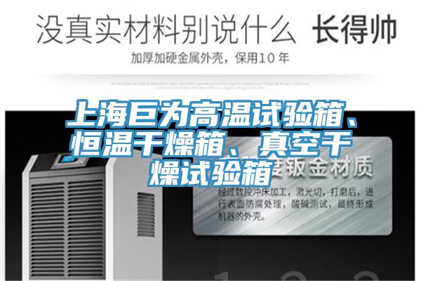 上海巨為高溫試驗(yàn)箱、恒溫干燥箱、真空干燥試驗(yàn)箱