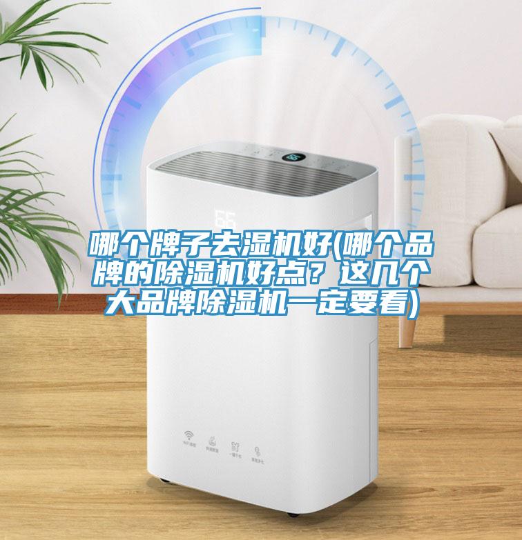 哪個牌子去濕機好(哪個品牌的除濕機好點？這幾個大品牌除濕機一定要看)