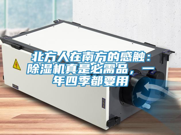 北方人在南方的感觸：除濕機真是必需品，一年四季都要用