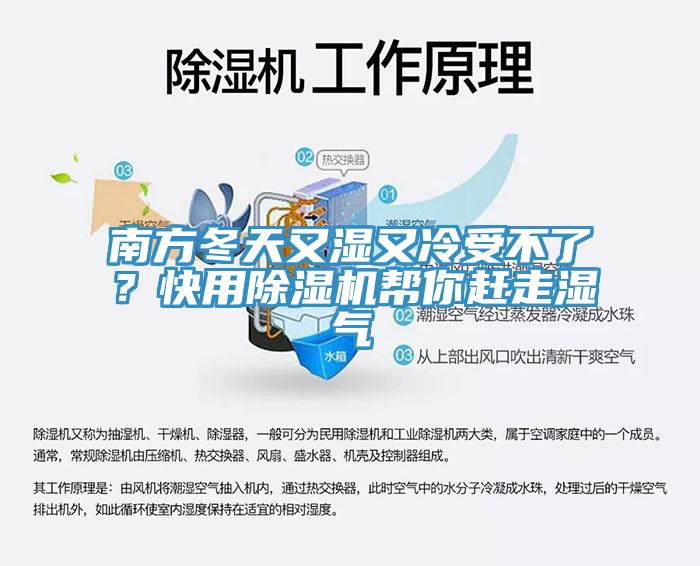 南方冬天又濕又冷受不了？快用除濕機幫你趕走濕氣