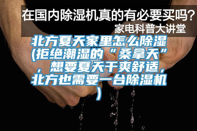 北方夏天家里怎么除濕(拒絕潮濕的“桑拿天”，想要夏天干爽舒適，北方也需要一臺除濕機)