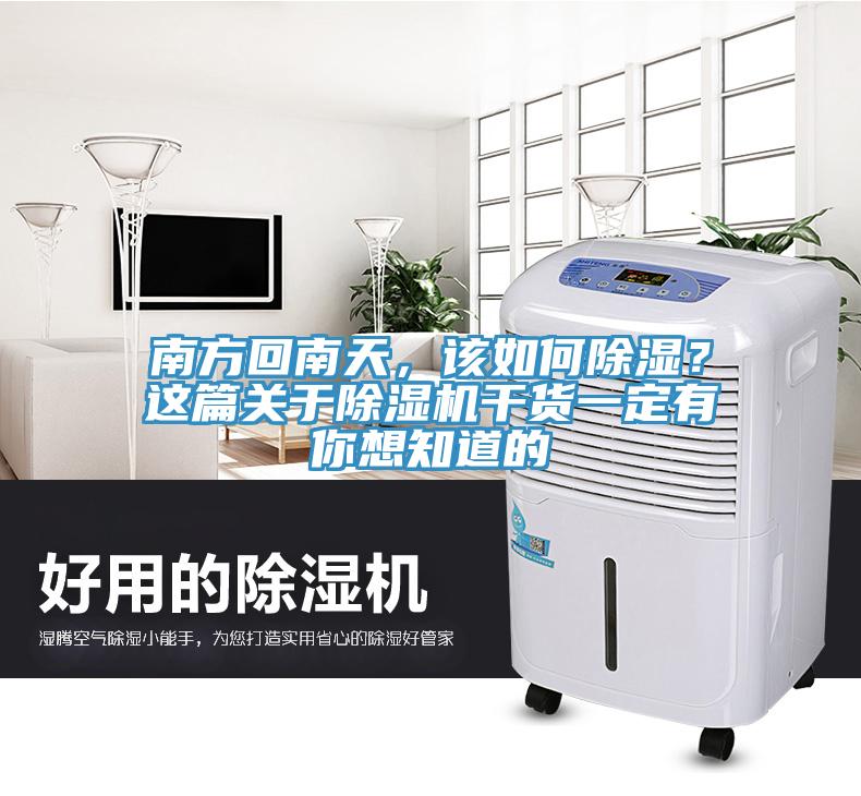南方回南天，該如何除濕？這篇關(guān)于除濕機干貨一定有你想知道的