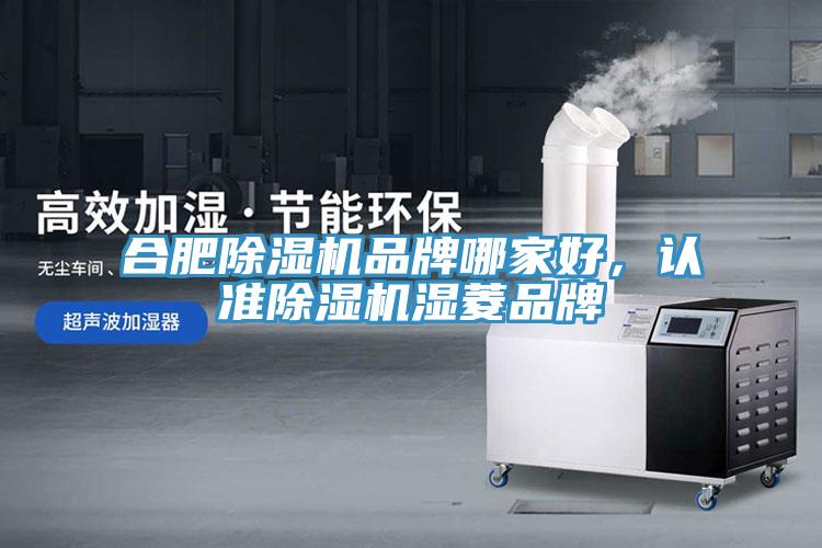 合肥除濕機(jī)品牌哪家好，認(rèn)準(zhǔn)除濕機(jī)濕菱品牌