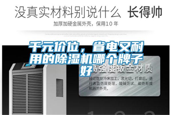 千元價位，省電又耐用的除濕機(jī)哪個牌子好