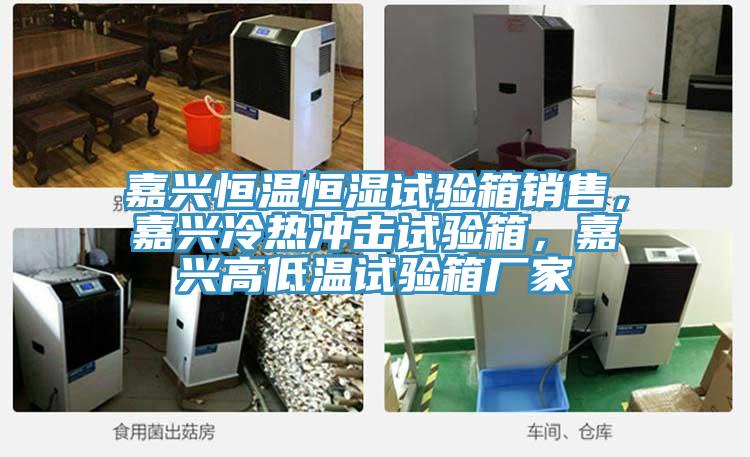嘉興恒溫恒濕試驗(yàn)箱銷售，嘉興冷熱沖擊試驗(yàn)箱，嘉興高低溫試驗(yàn)箱廠家