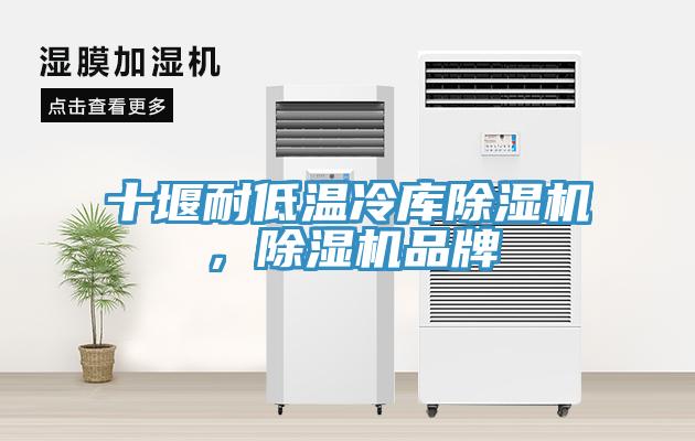 十堰耐低溫冷庫(kù)除濕機(jī)，除濕機(jī)品牌