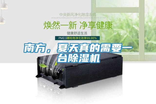 南方，夏天真的需要一臺除濕機