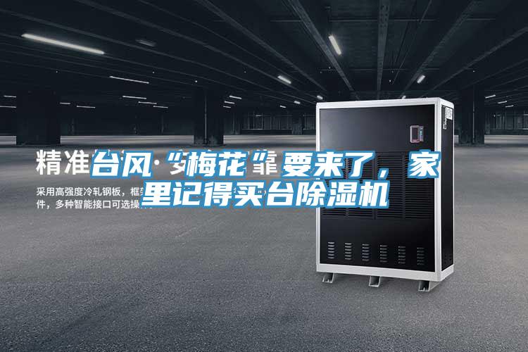 臺風(fēng)“梅花”要來了，家里記得買臺除濕機(jī)