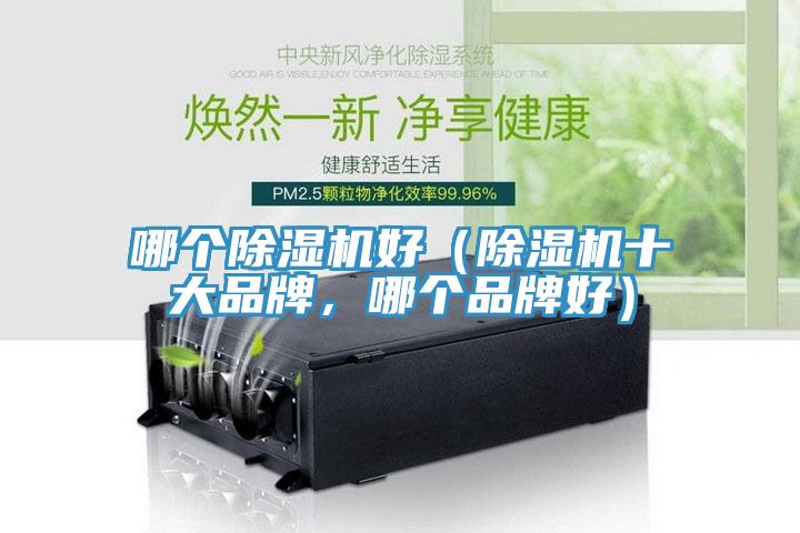 哪個除濕機好（除濕機十大品牌，哪個品牌好）