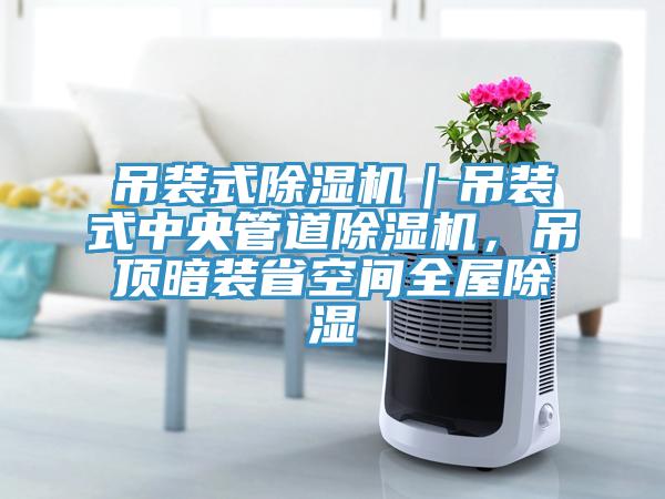 吊裝式除濕機(jī)｜吊裝式中央管道除濕機(jī)，吊頂暗裝省空間全屋除濕
