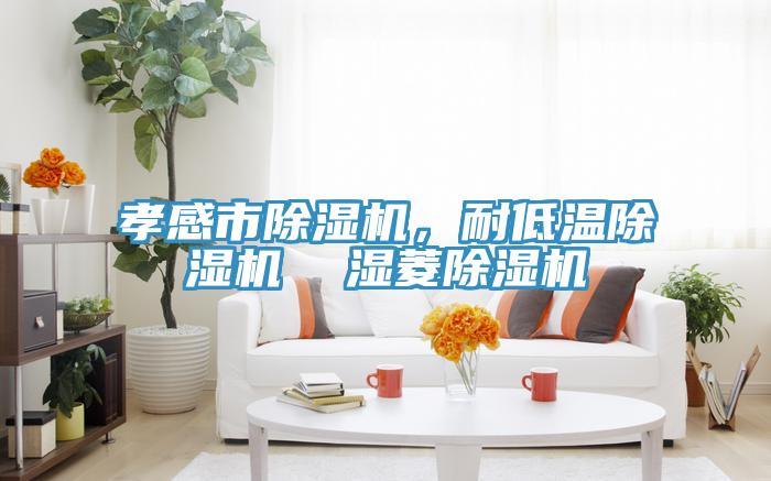 孝感市除濕機，耐低溫除濕機  濕菱除濕機