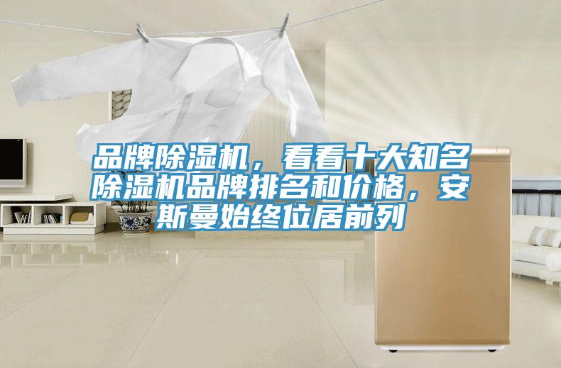 品牌除濕機(jī)，看看十大知名除濕機(jī)品牌排名和價(jià)格，安斯曼始終位居前列
