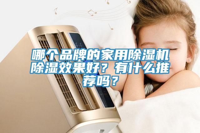 哪個品牌的家用除濕機除濕效果好？有什么推薦嗎？