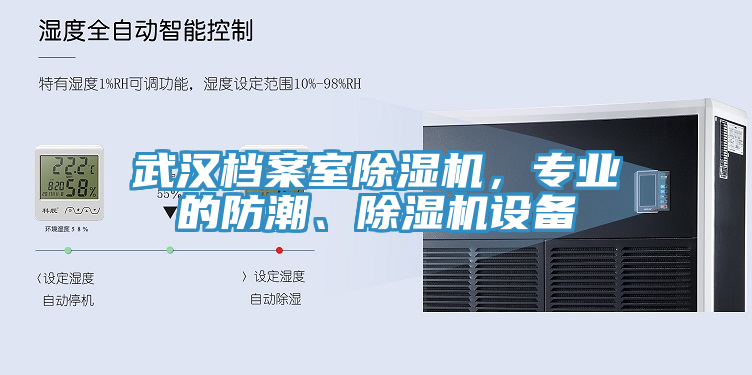 武漢檔案室除濕機(jī)，專業(yè)的防潮、除濕機(jī)設(shè)備