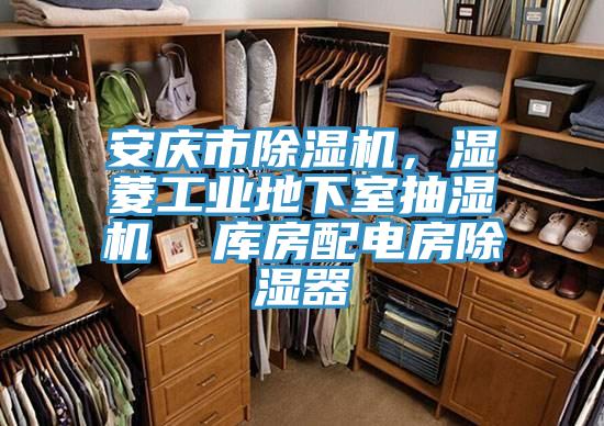 安慶市除濕機(jī)，濕菱工業(yè)地下室抽濕機(jī)  庫房配電房除濕器