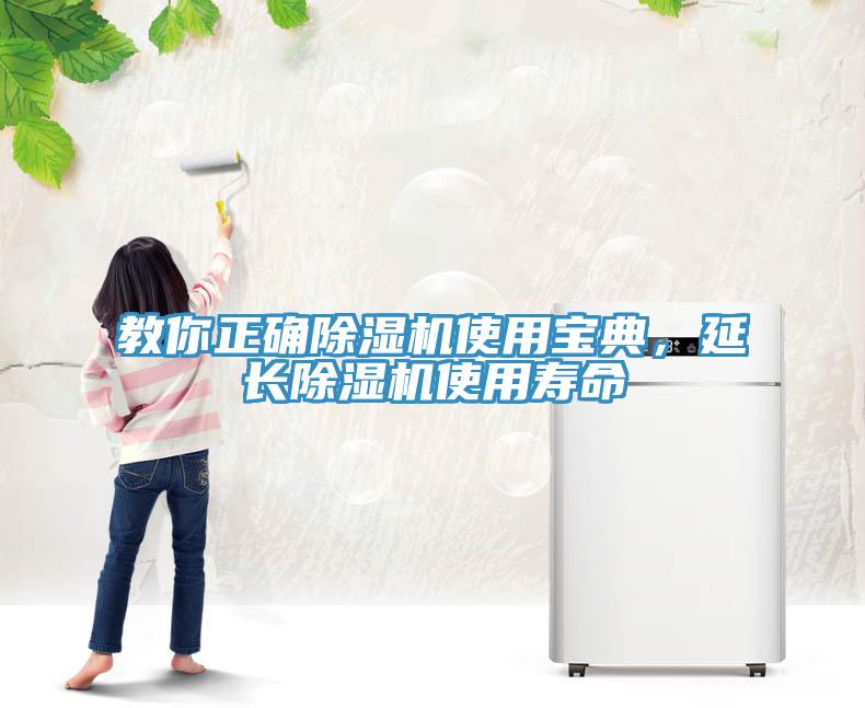 教你正確除濕機使用寶典，延長除濕機使用壽命