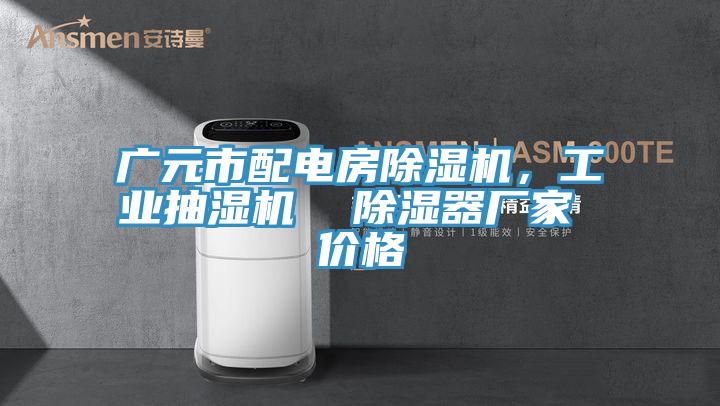 廣元市配電房除濕機，工業(yè)抽濕機  除濕器廠家 價格