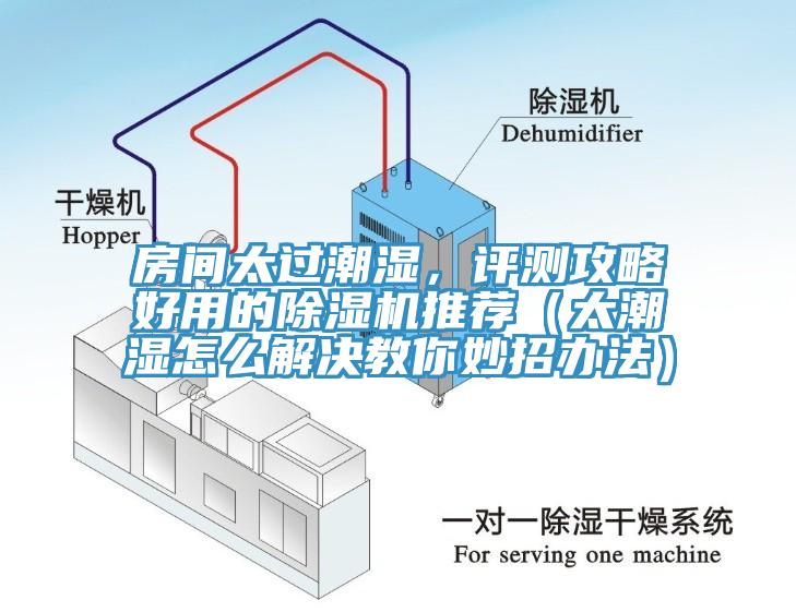 房間太過潮濕，評測攻略好用的除濕機推薦（太潮濕怎么解決教你妙招辦法）