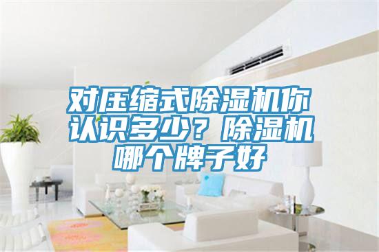 對(duì)壓縮式除濕機(jī)你認(rèn)識(shí)多少？除濕機(jī)哪個(gè)牌子好