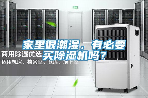 家里很潮濕，有必要買除濕機嗎？
