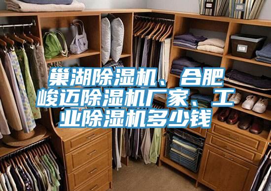 巢湖除濕機、合肥峻邁除濕機廠家、工業(yè)除濕機多少錢