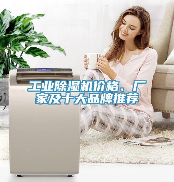工業(yè)除濕機(jī)價(jià)格、廠(chǎng)家及十大品牌推薦