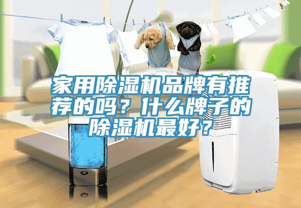 家用除濕機(jī)品牌有推薦的嗎？什么牌子的除濕機(jī)最好？
