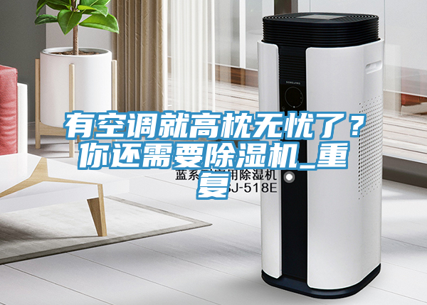 有空調(diào)就高枕無憂了？你還需要除濕機_重復(fù)