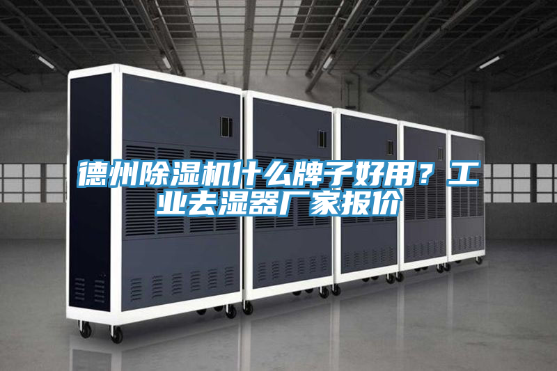 德州除濕機(jī)什么牌子好用？工業(yè)去濕器廠家報價