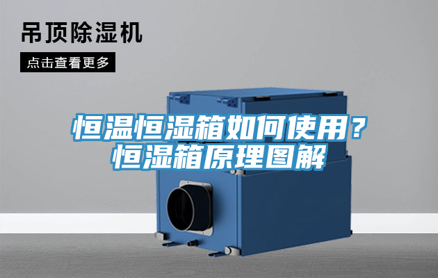 恒溫恒濕箱如何使用？恒濕箱原理圖解