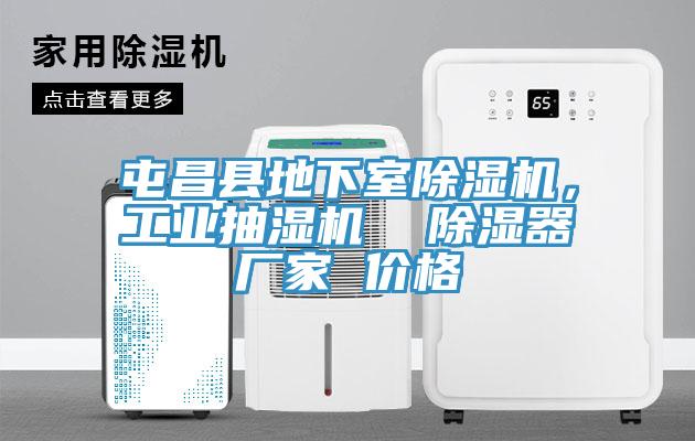 屯昌縣地下室除濕機(jī)，工業(yè)抽濕機(jī)  除濕器廠家 價格