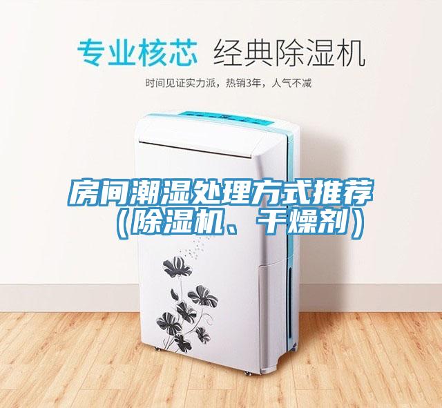 房間潮濕處理方式推薦（除濕機、干燥劑）