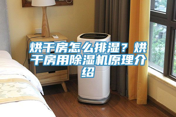 烘干房怎么排濕？烘干房用除濕機原理介紹