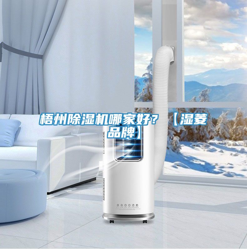 梧州除濕機哪家好？【濕菱品牌】
