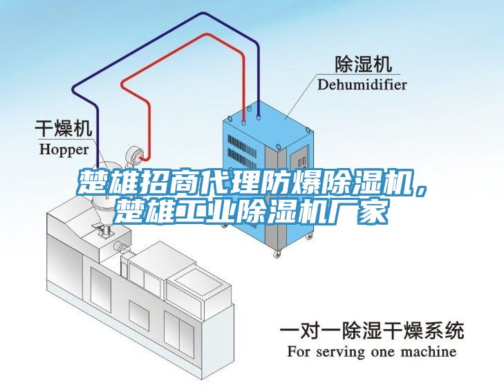 楚雄招商代理防爆除濕機，楚雄工業(yè)除濕機廠家