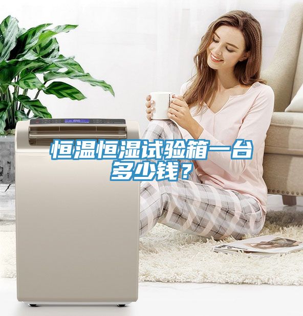 恒溫恒濕試驗箱一臺多少錢？