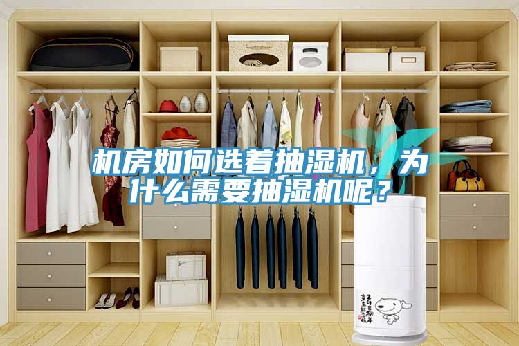 機(jī)房如何選著抽濕機(jī)，為什么需要抽濕機(jī)呢？