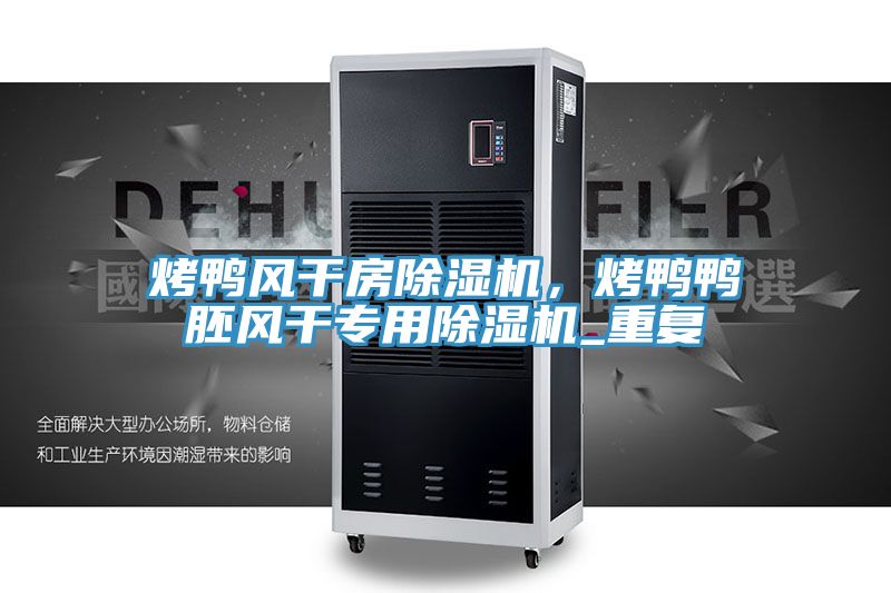 烤鴨風(fēng)干房除濕機，烤鴨鴨胚風(fēng)干專用除濕機_重復(fù)