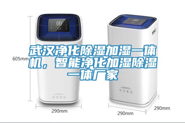 武漢凈化除濕加濕一體機，智能凈化加濕除濕一體廠家