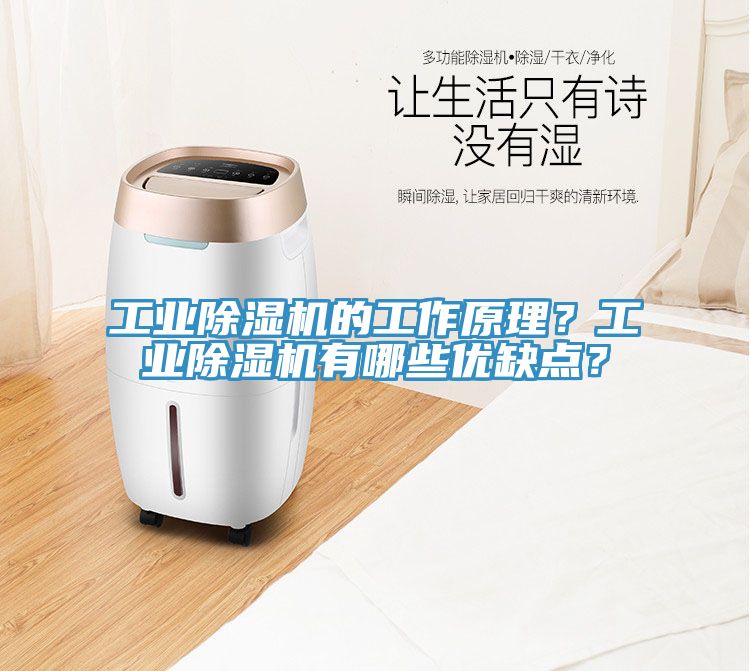 工業(yè)除濕機的工作原理？工業(yè)除濕機有哪些優(yōu)缺點？