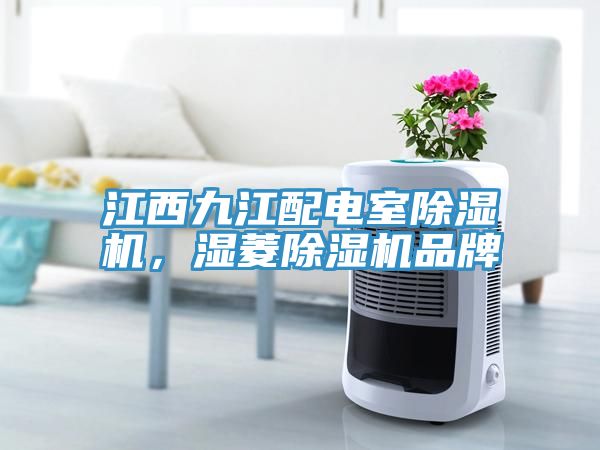 江西九江配電室除濕機(jī)，濕菱除濕機(jī)品牌