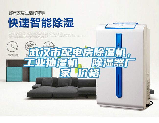 武漢市配電房除濕機，工業(yè)抽濕機  除濕器廠家 價格
