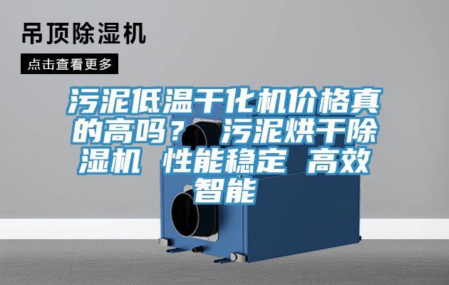 污泥低溫干化機(jī)價(jià)格真的高嗎？ 污泥烘干除濕機(jī) 性能穩(wěn)定 高效智能