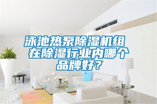 泳池?zé)岜贸凉駲C組 在除濕行業(yè)內(nèi)哪個品牌好？