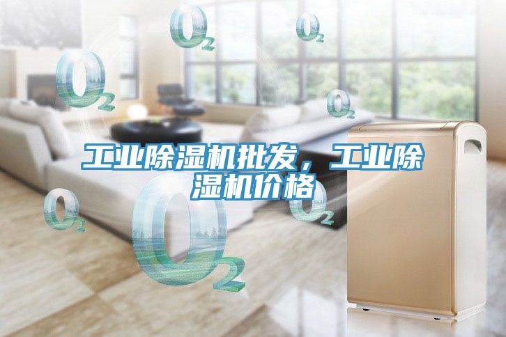 工業(yè)除濕機(jī)批發(fā)，工業(yè)除濕機(jī)價(jià)格