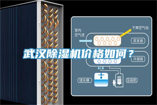 武漢除濕機價格如何？