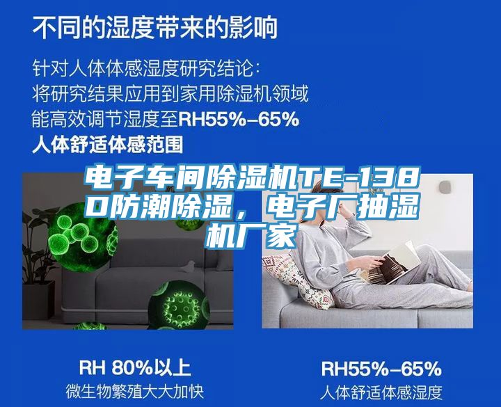 電子車間除濕機TE-138D防潮除濕，電子廠抽濕機廠家