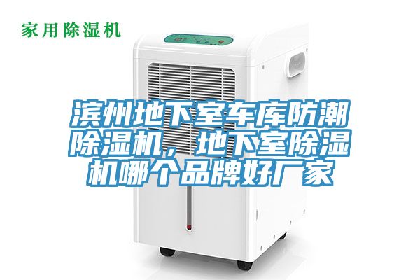 濱州地下室車庫防潮除濕機，地下室除濕機哪個品牌好廠家