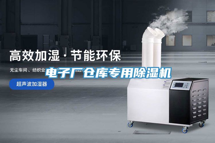 電子廠倉(cāng)庫(kù)專(zhuān)用除濕機(jī)