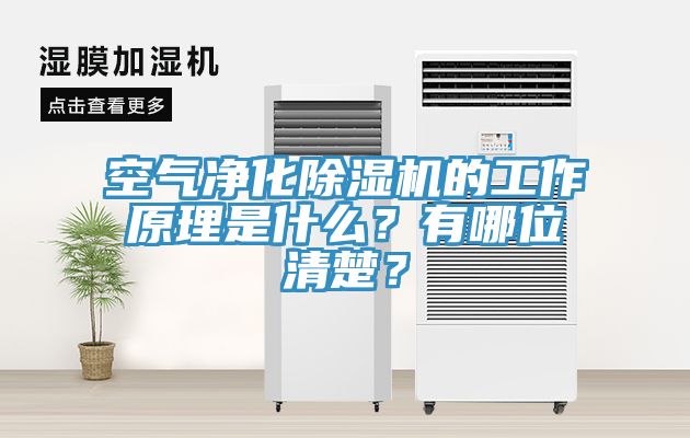 空氣凈化除濕機(jī)的工作原理是什么？有哪位清楚？